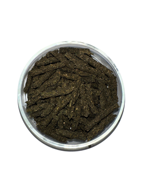 Suksai Aquatic Green