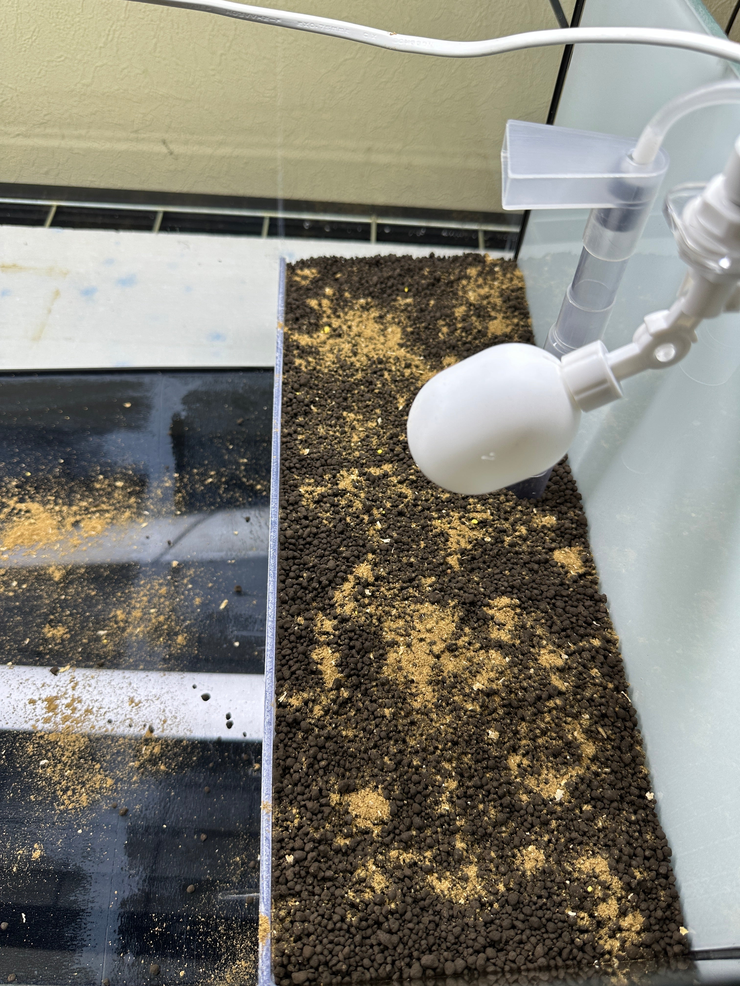 Dead shrimp powder 2 (DSP2)