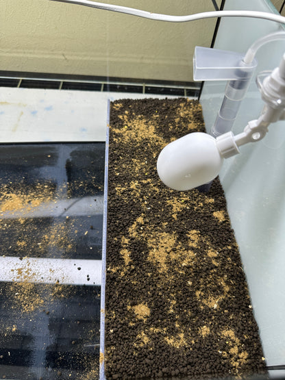 Dead shrimp powder 2 (DSP2)