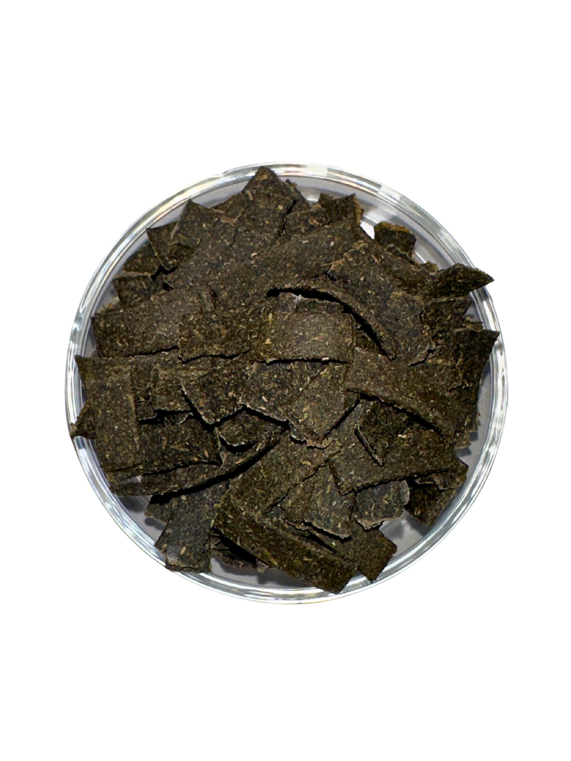 Suksai Aquatic Green