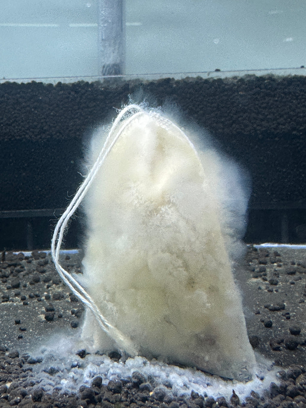 Suksai Aquatic Lubao