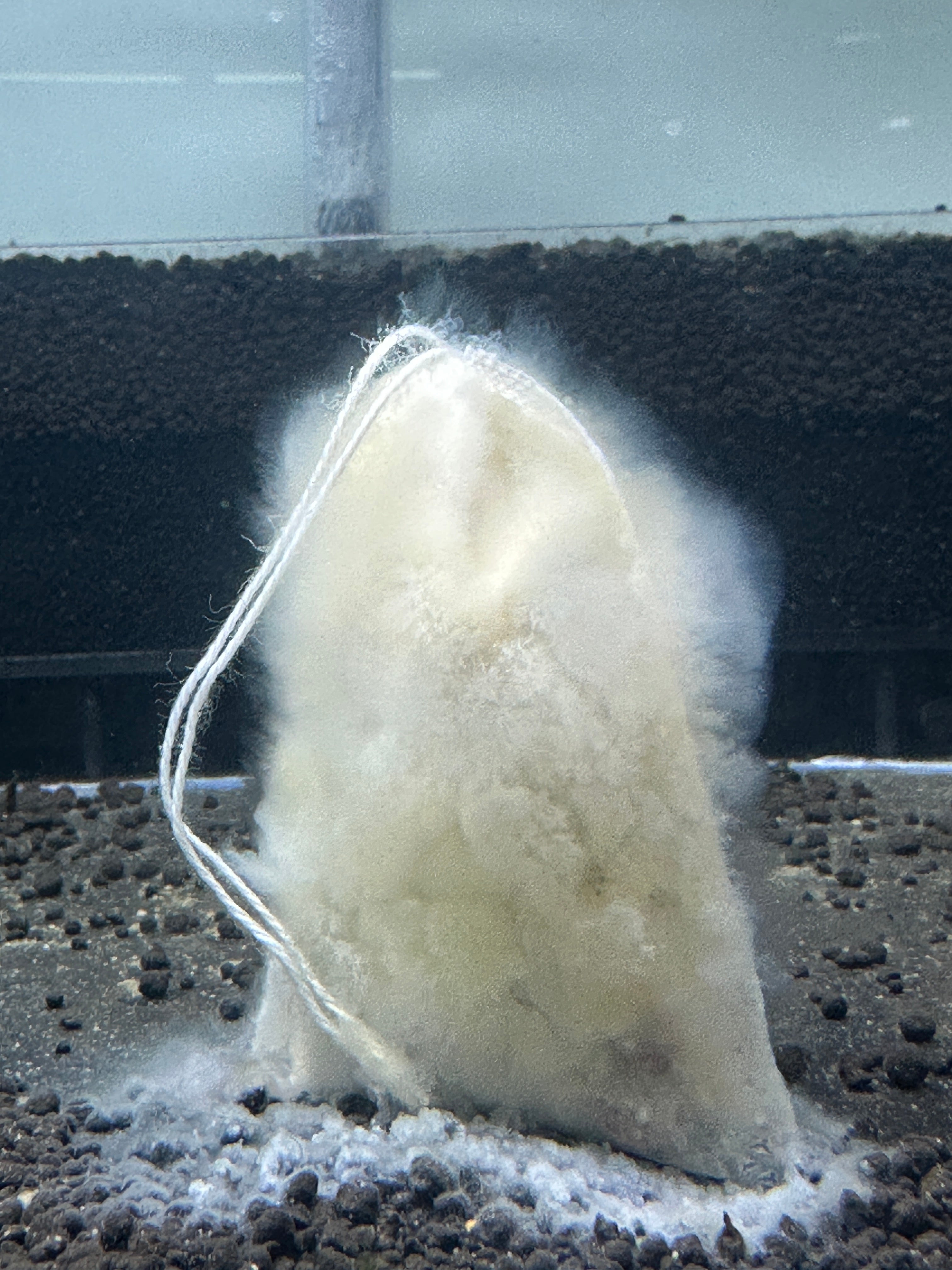 Suksai Aquatic Lubao