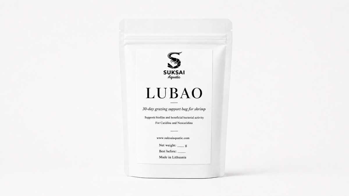 Lubao