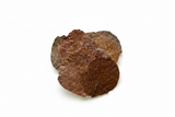Dried Catappa Leaves – Studio Shot